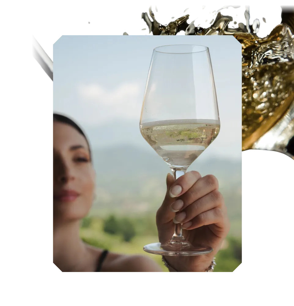 Фото 5 Contarini Moinet Prosecco D.O.C. Extra Dry