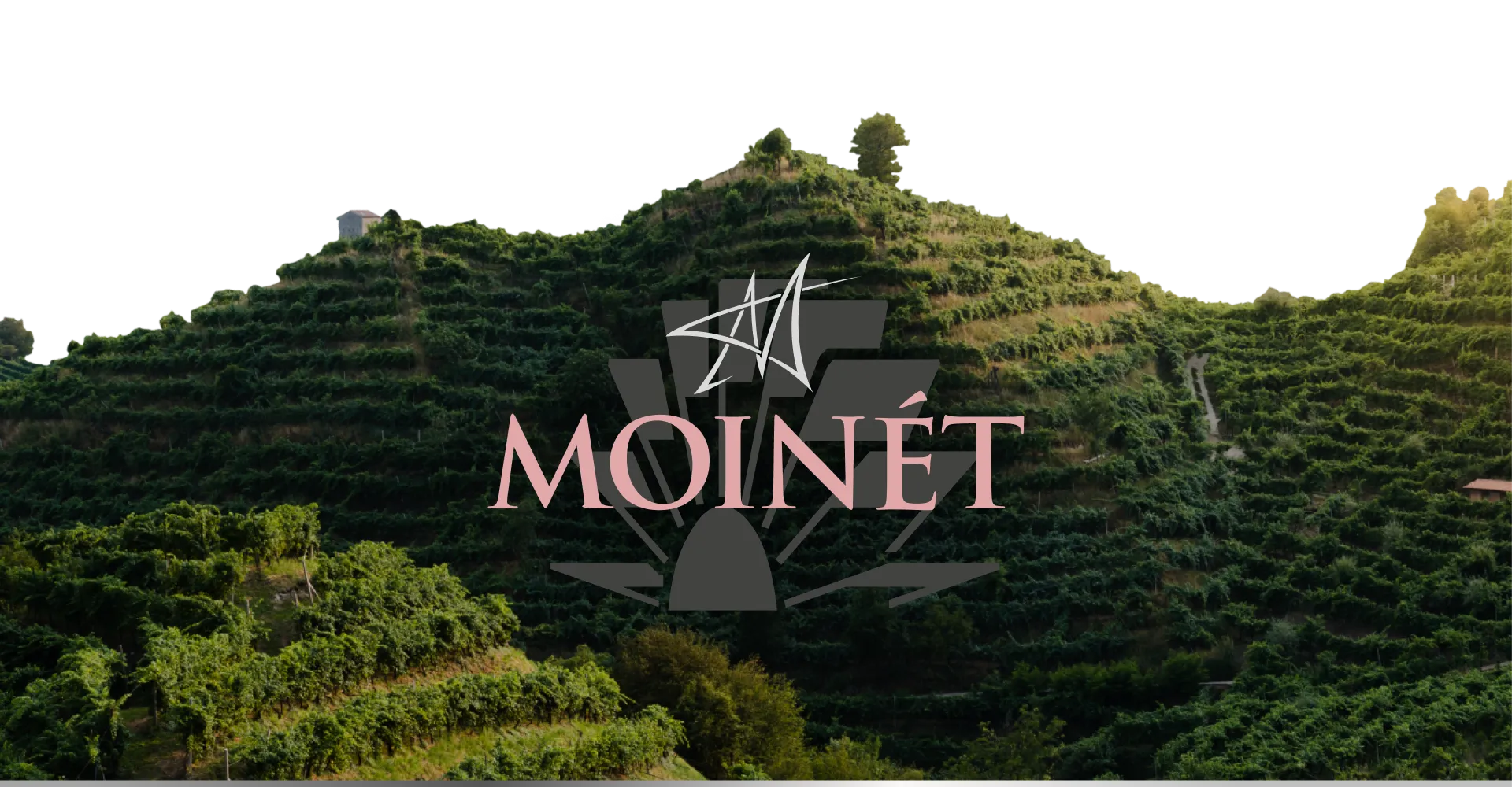 Фото 3 Contarini Moinet Prosecco Rosè Millesimato D.O.C. Extra Dry