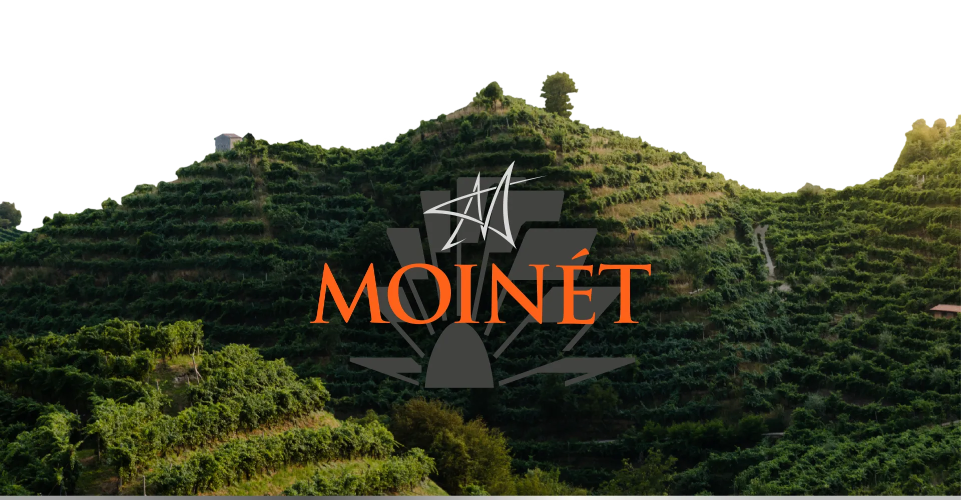Фото 3 Contarini Moinet Prosecco Superiore D.O.C.G. BRUT