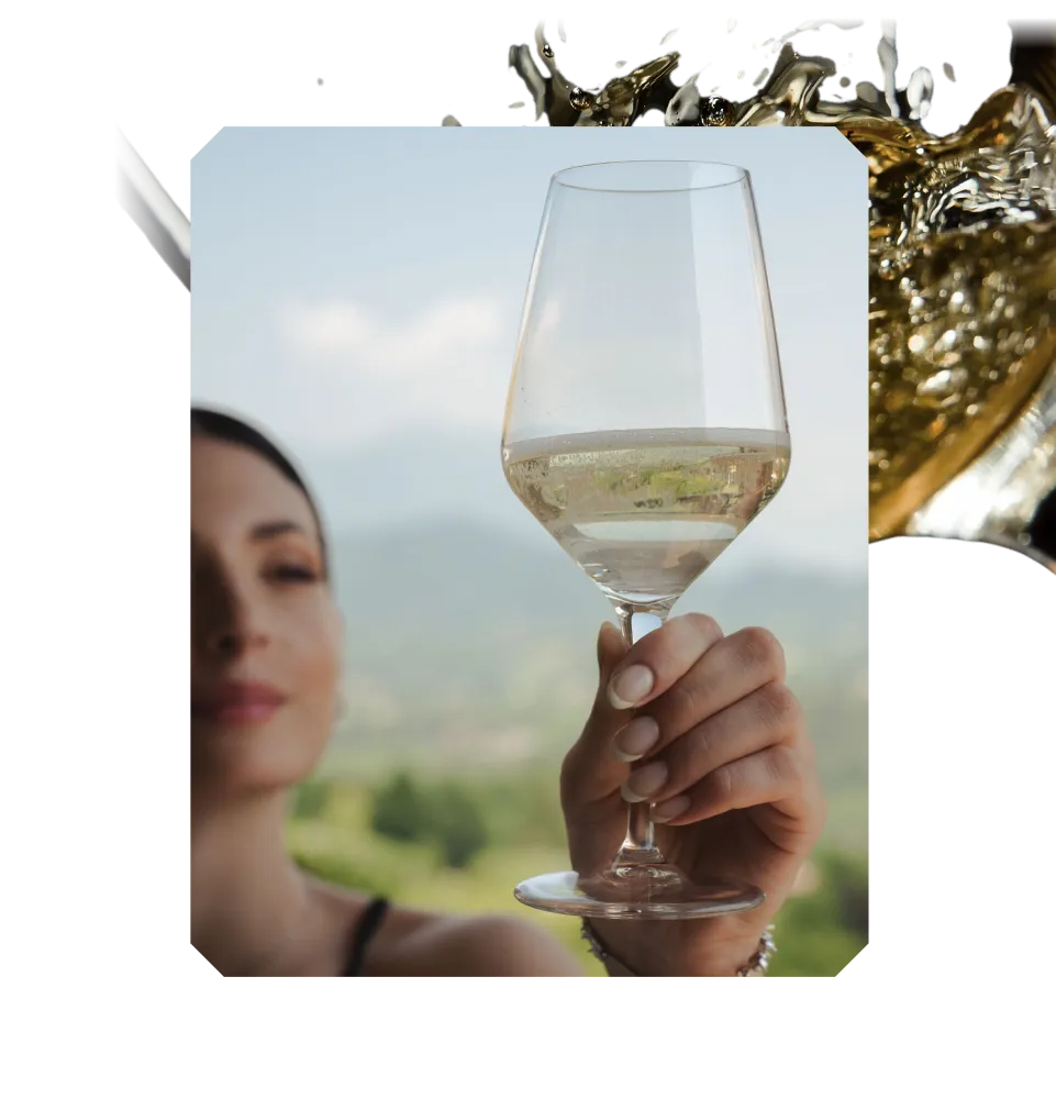 Фото 5 Contarini Moinet Prosecco Superiore D.O.C.G. BRUT