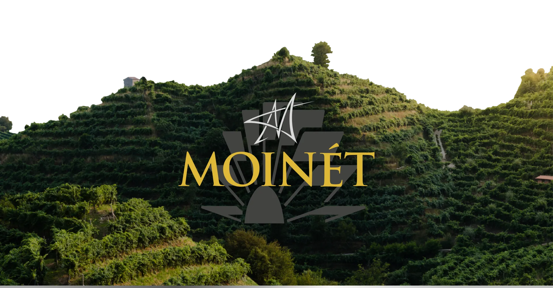Фото 3 Contarini Moinet Prosecco Superiore D.O.C.G. Extra Dry