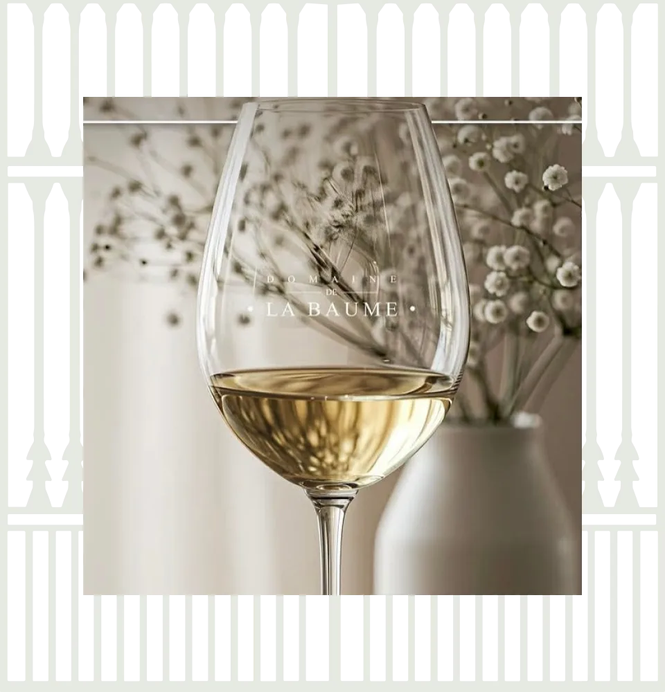 Фото 5 Domaine De La Baume Grande Olivette Sauvignon Blanc IGP Pays d'Oc