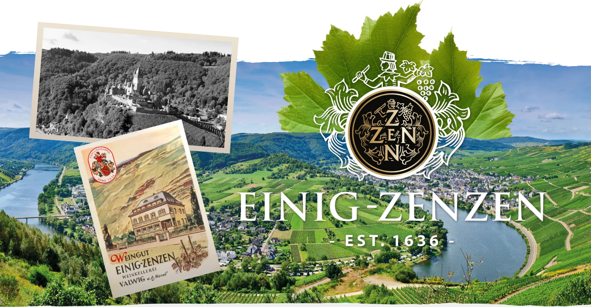 Фото 3 Dr. Zenzen Yellow Label Mosel Riesling