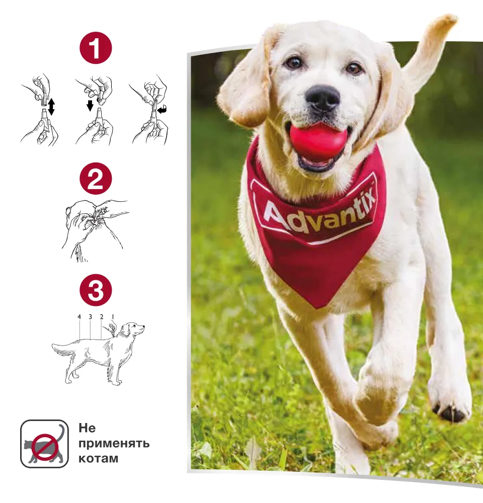 Фото 3 Elanco Advantix™