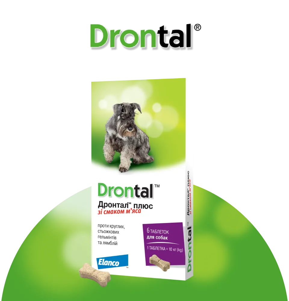 Фото 1 Elanco Drontal Plus