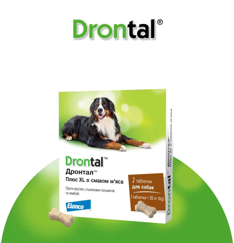 Фото 1 Elanco Drontal Plus XL