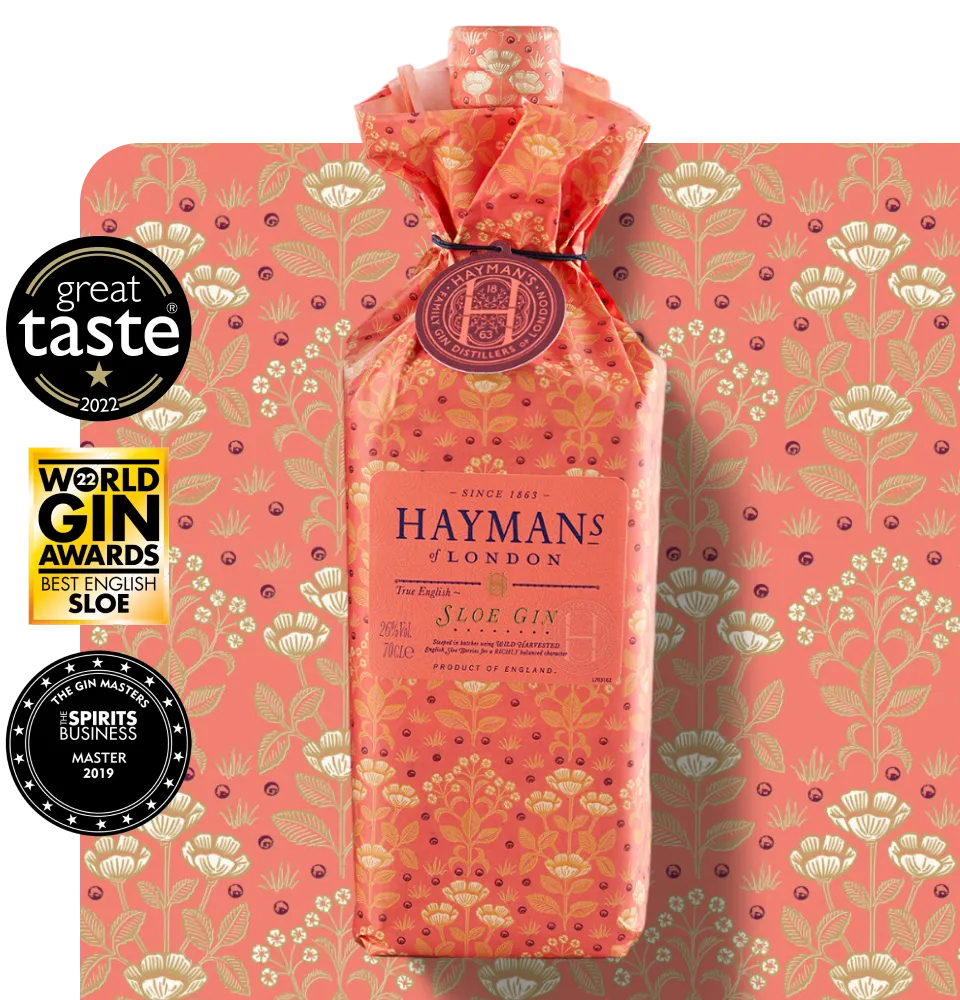 Фото 2 Hayman's Sloe Gin