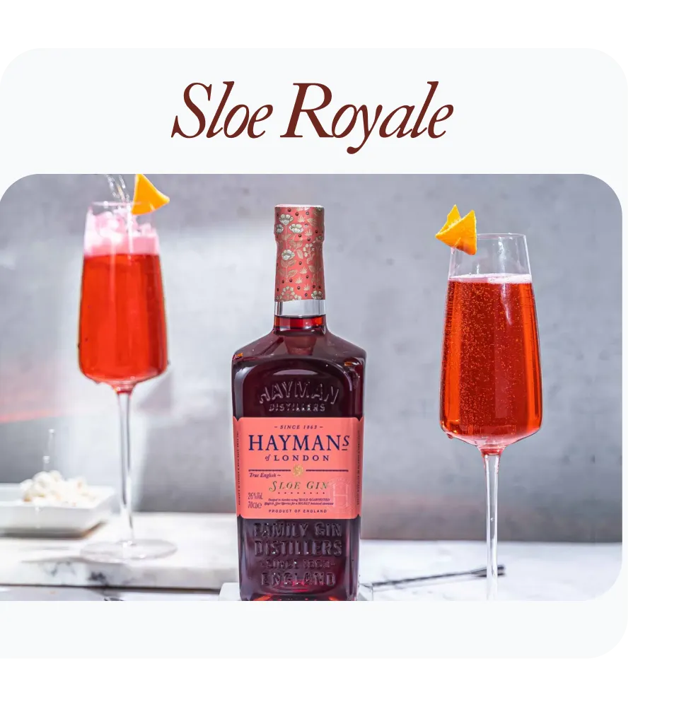 Фото 6 Hayman's Sloe Gin