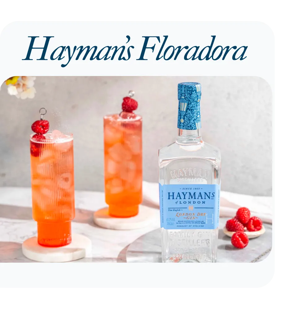 Фото 6 Hayman's London Dry