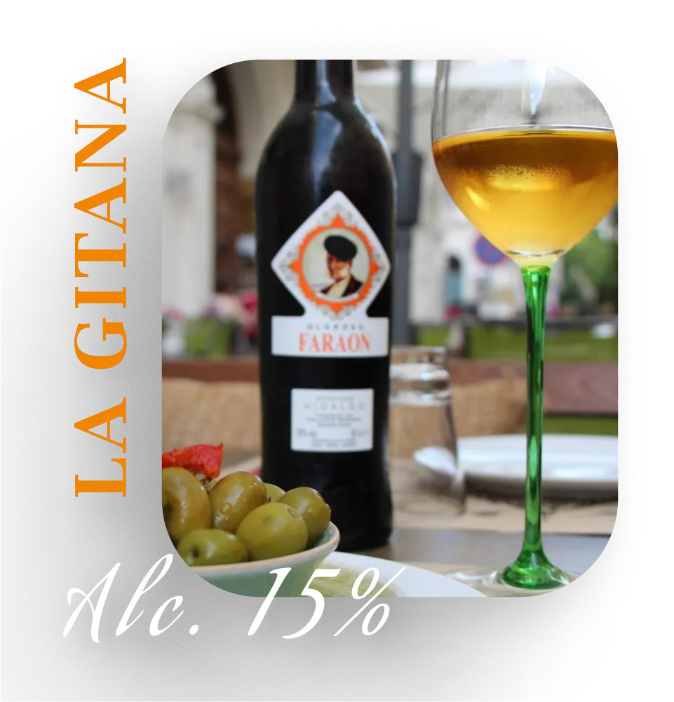 Фото 5 Hidalgo La Gitana Jerez Oloroso Seco Faraon