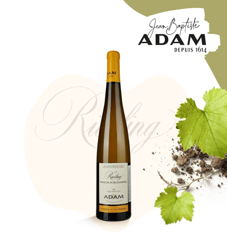 Фото 1 Jean-Baptiste Adam Alsace Grand Cru Riesling Wineck-Schlossberg