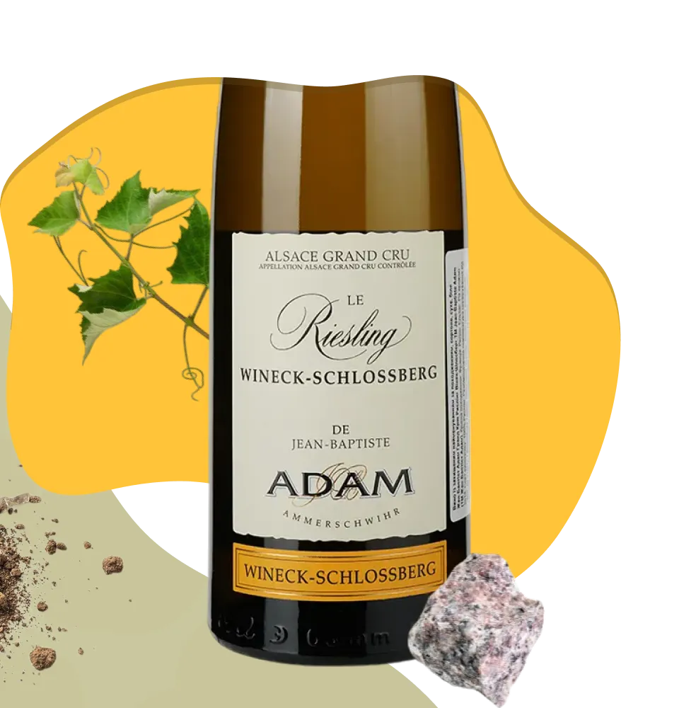 Фото 2 Jean-Baptiste Adam Alsace Grand Cru Riesling Wineck-Schlossberg