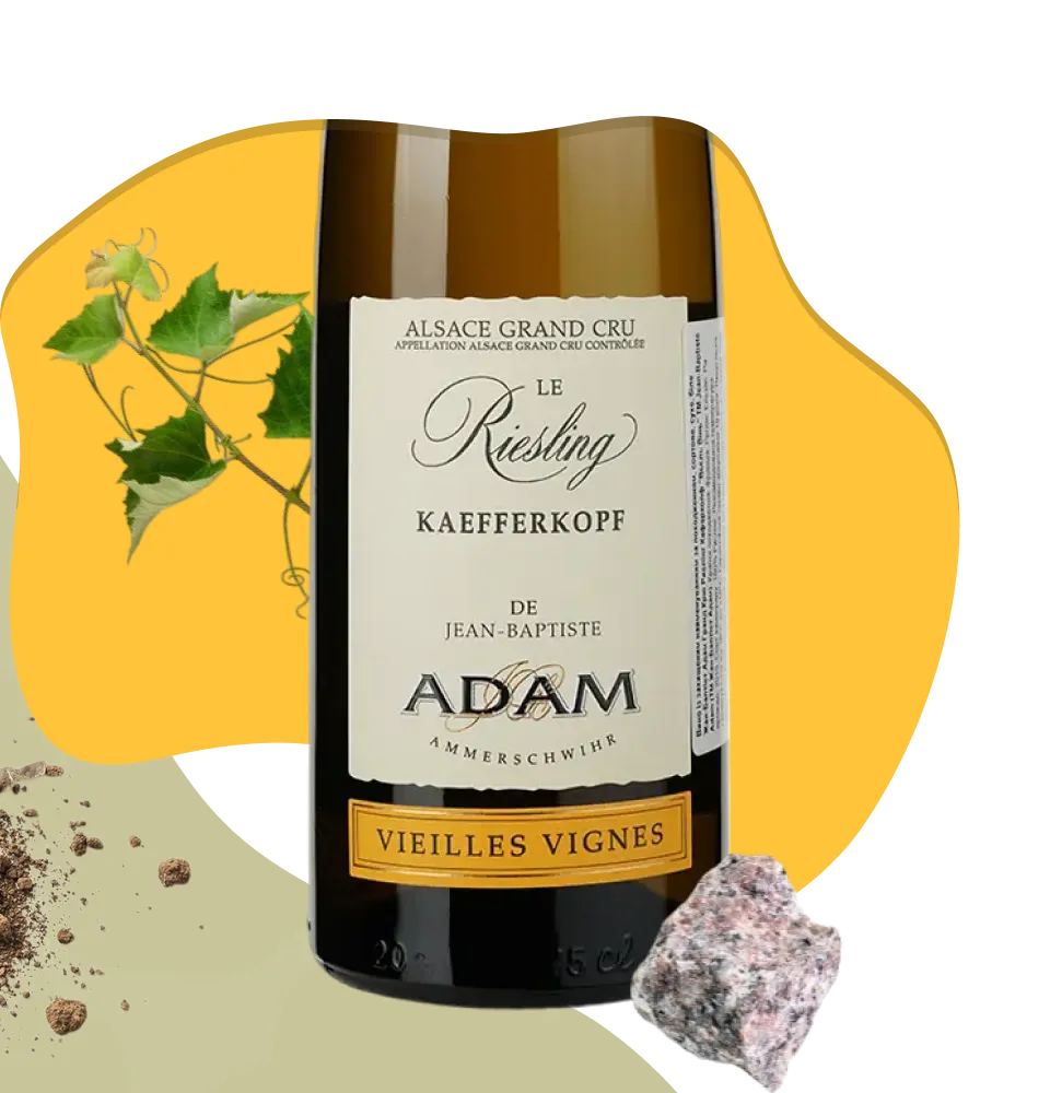 Фото 2 Jean-Baptiste Adam Grand Cru Riesling Kaefferkopf Vieilles Vignes