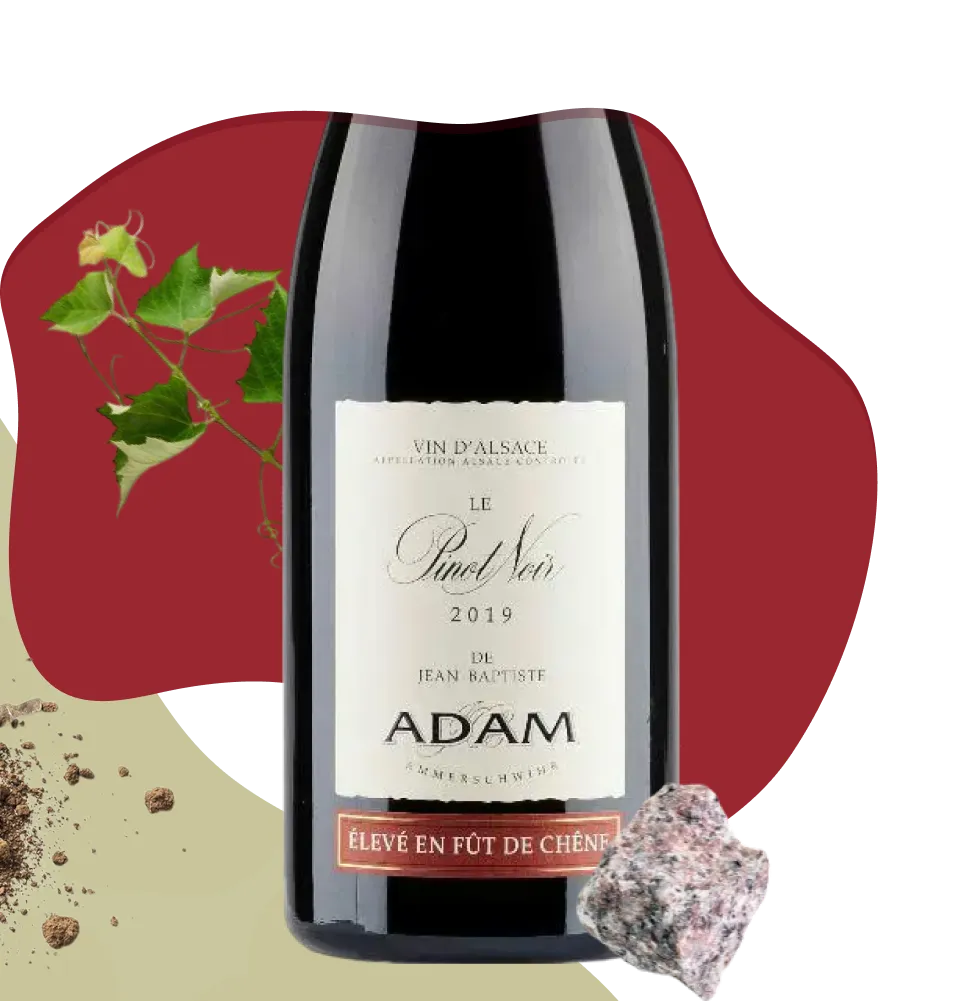 Фото 2 Jean-Baptiste Adam Pinot Noir Eleve en Fut De Chene