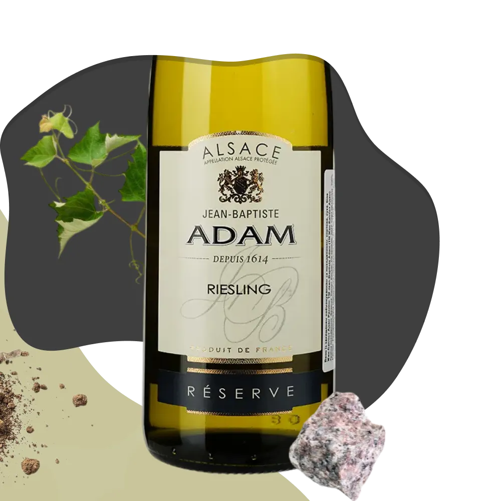 Фото 2 Jean-Baptiste Adam Riesling Réserve