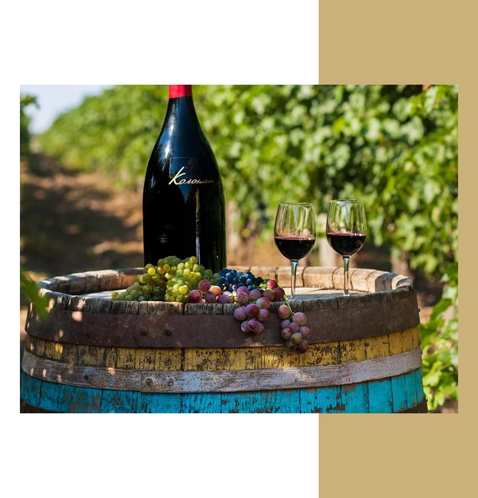 Фото 5 Колоніст Каберне Мерло