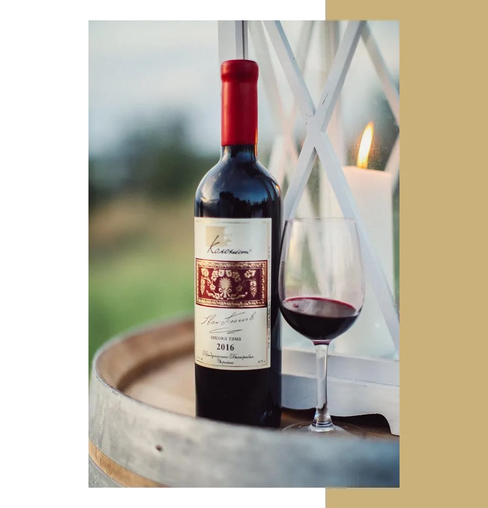 Фото 2 Колоніст Каберне Мерло 2018