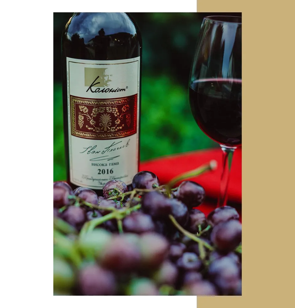 Фото 5 Колоніст Каберне Мерло 2018