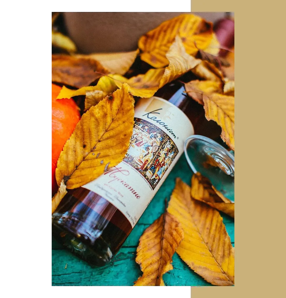 Фото 5 Колоніст Мускатне