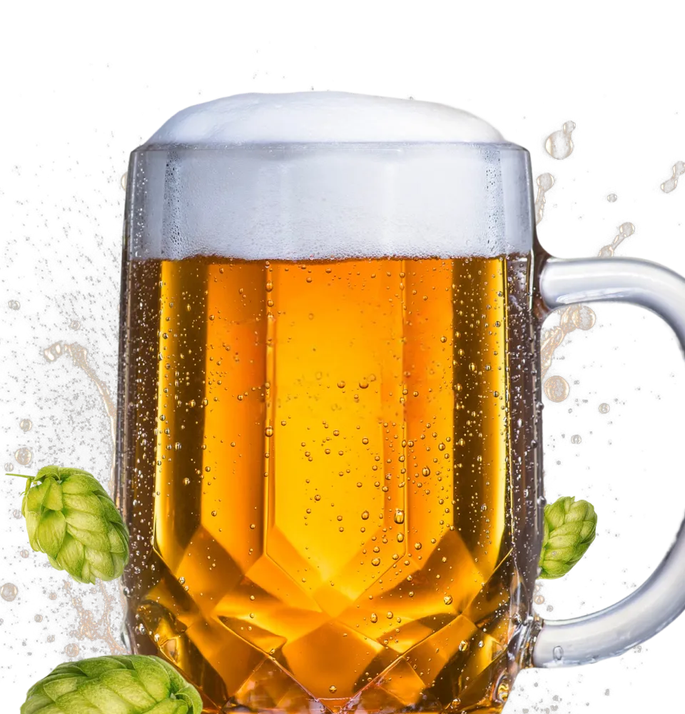 Фото 2 Krusovice Svetle