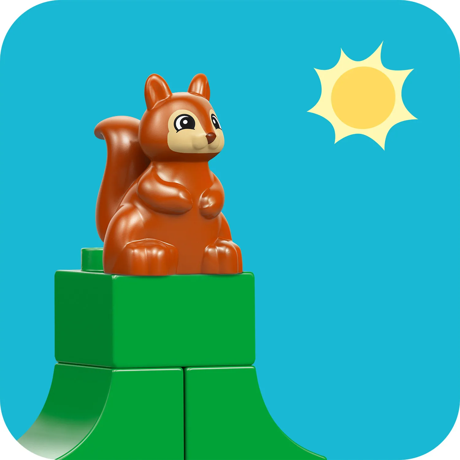 Захист дикої природи