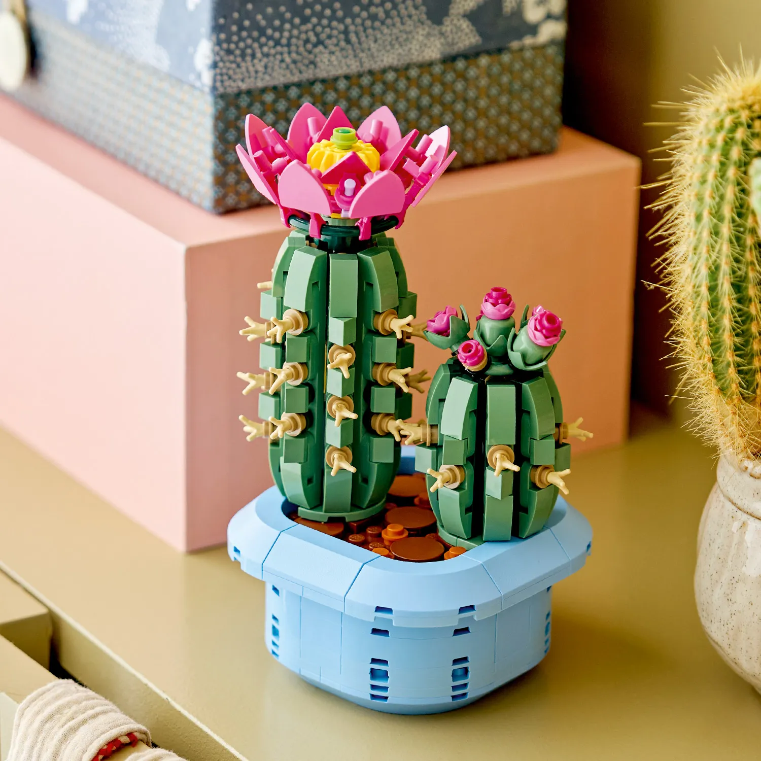 Природный подарок для детей