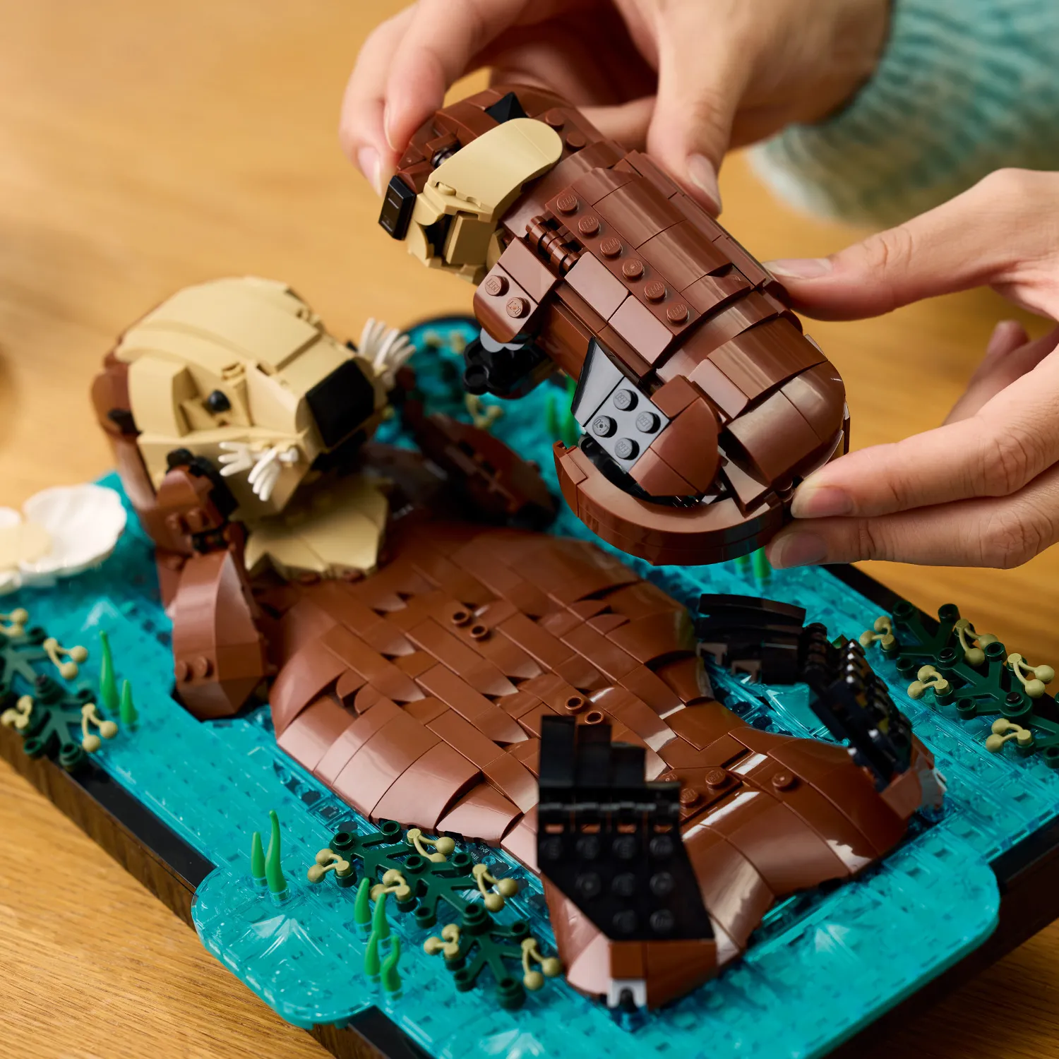 Дитинча видри