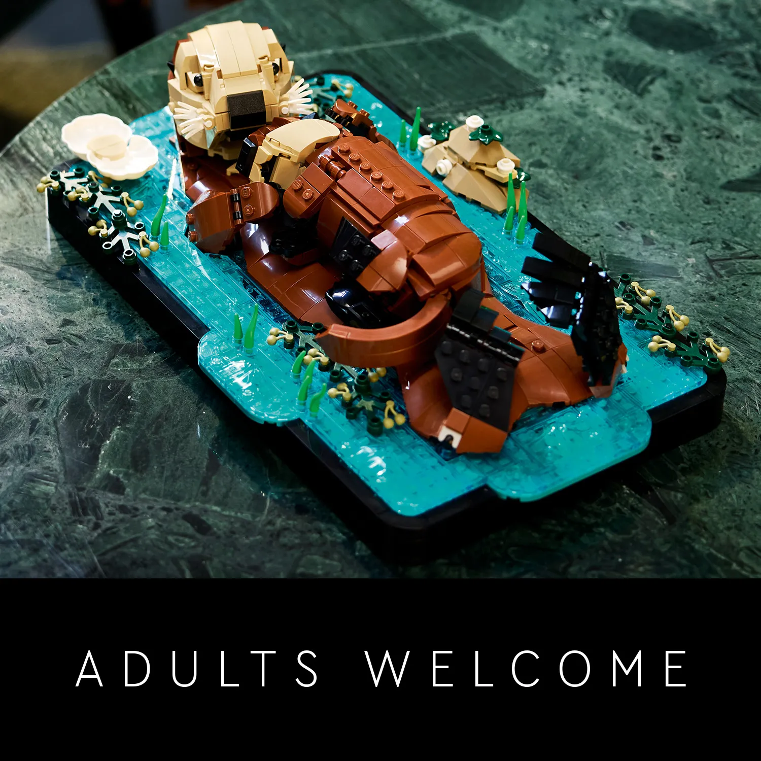 Чудовий подарунок для любителів тварин