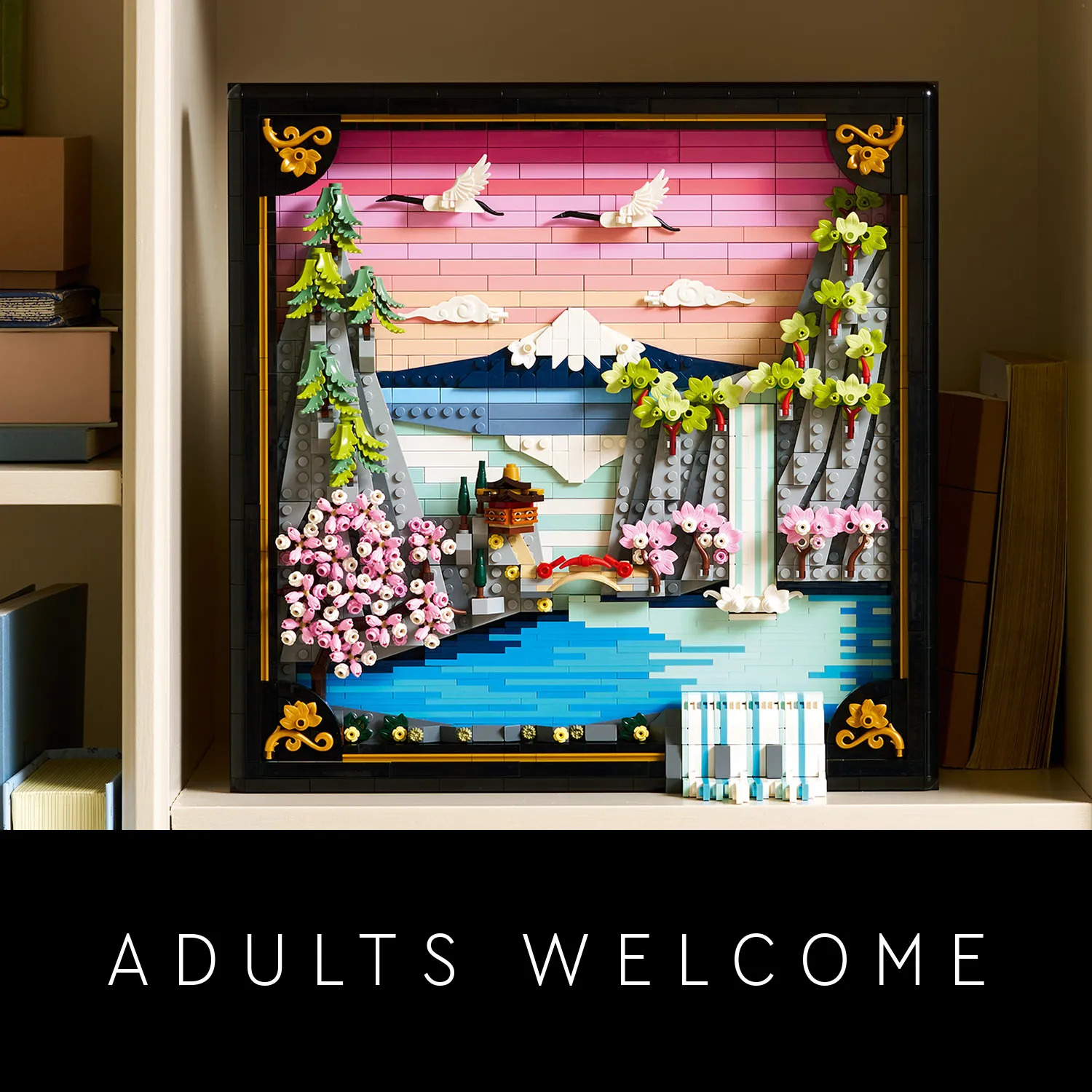 Ідея подарунка для дорослих