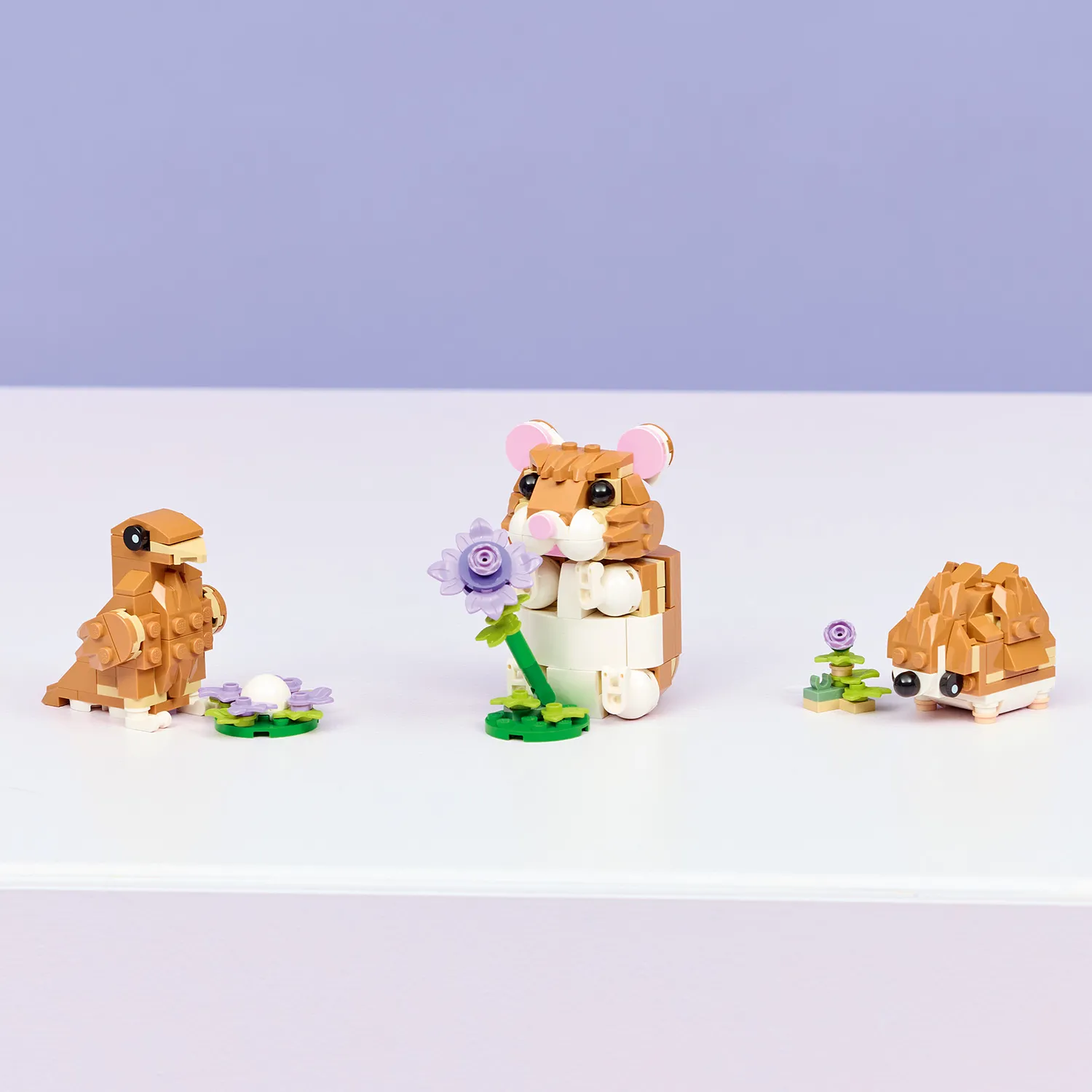 Задоволення для любителів тварин