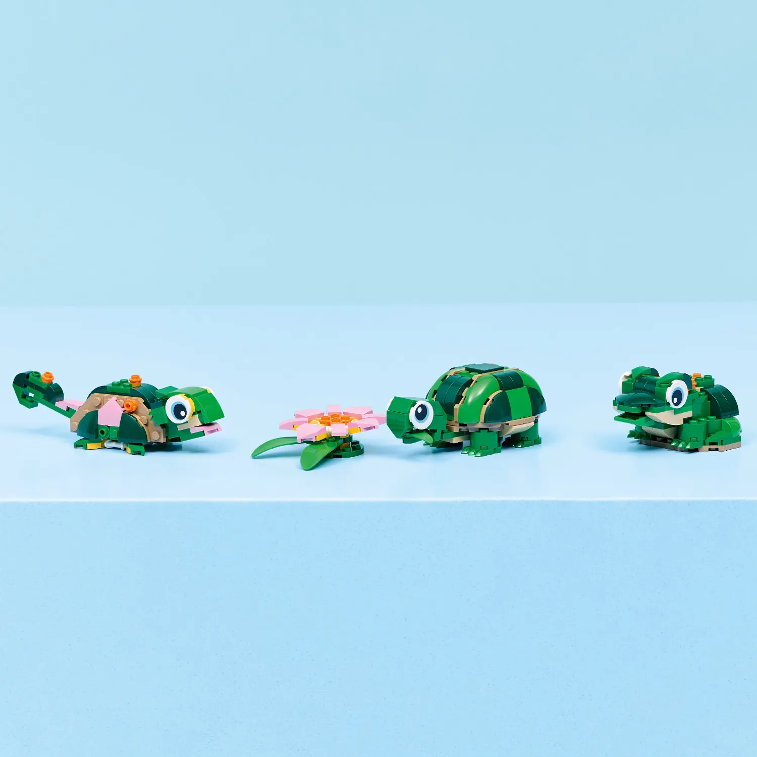 Задоволення для любителів тварин