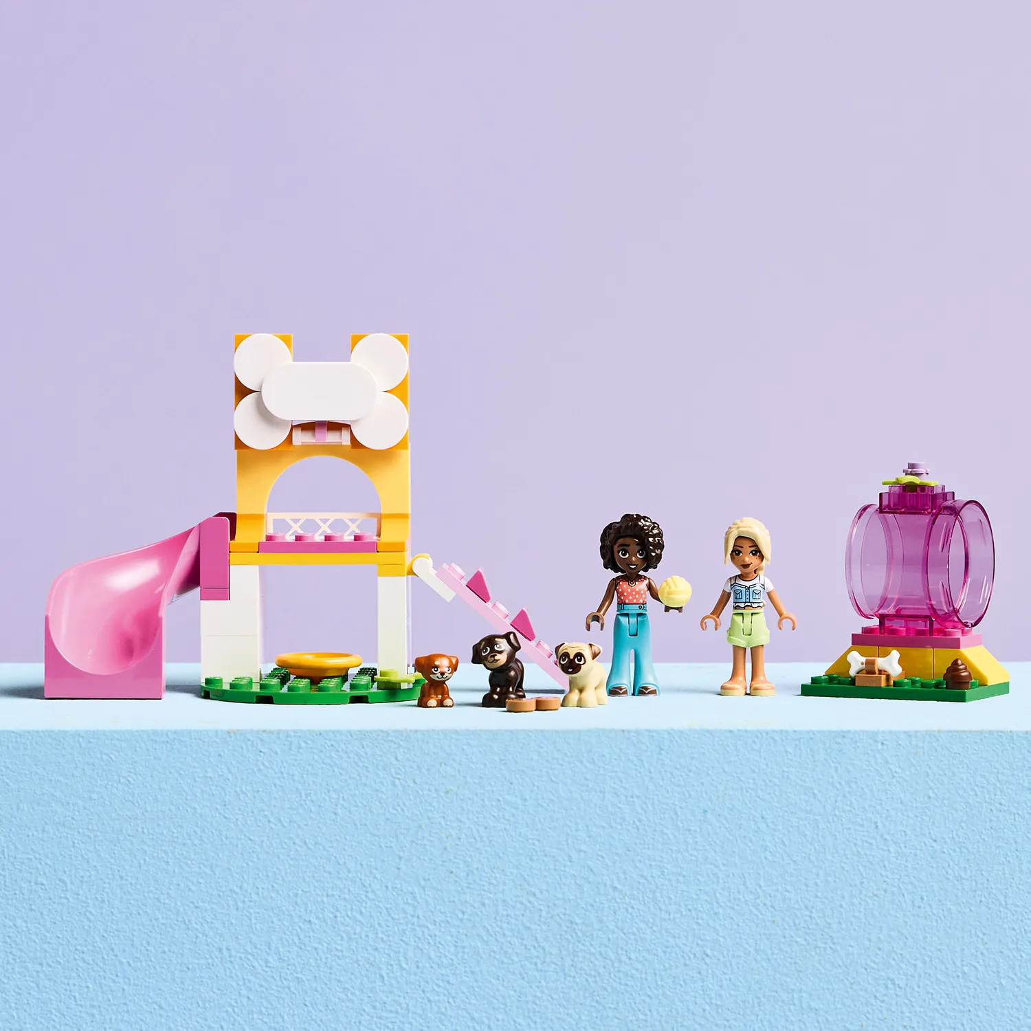 Оригинальный подарок для любителей собак