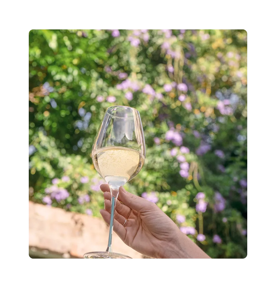 Фото 5 Les Naturels De Nicolas Vellas Chardonnay Bio IGP Pays D'Oc