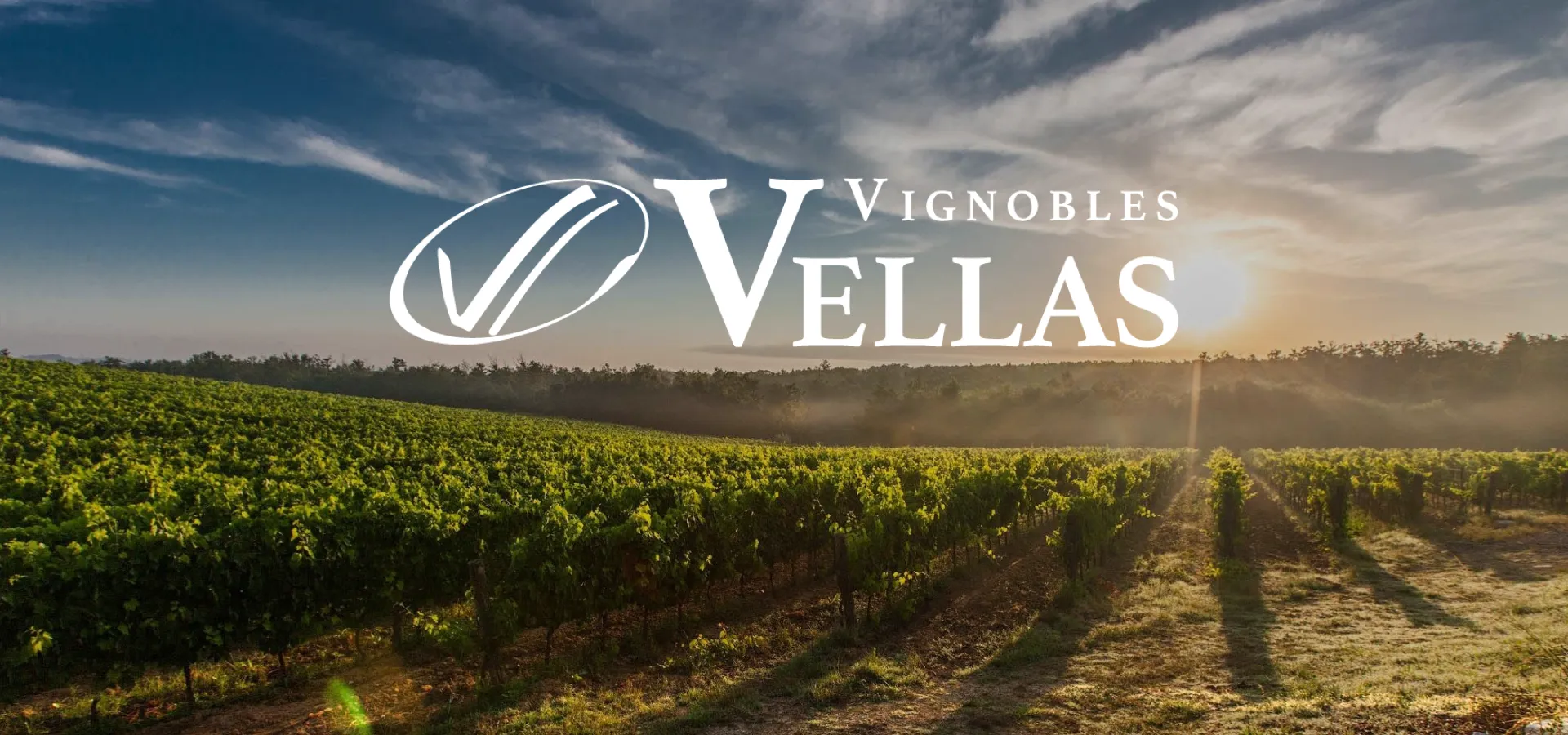 Фото 3 Les Naturels De Nicolas Vellas Chardonnay Bio IGP Pays D'Oc
