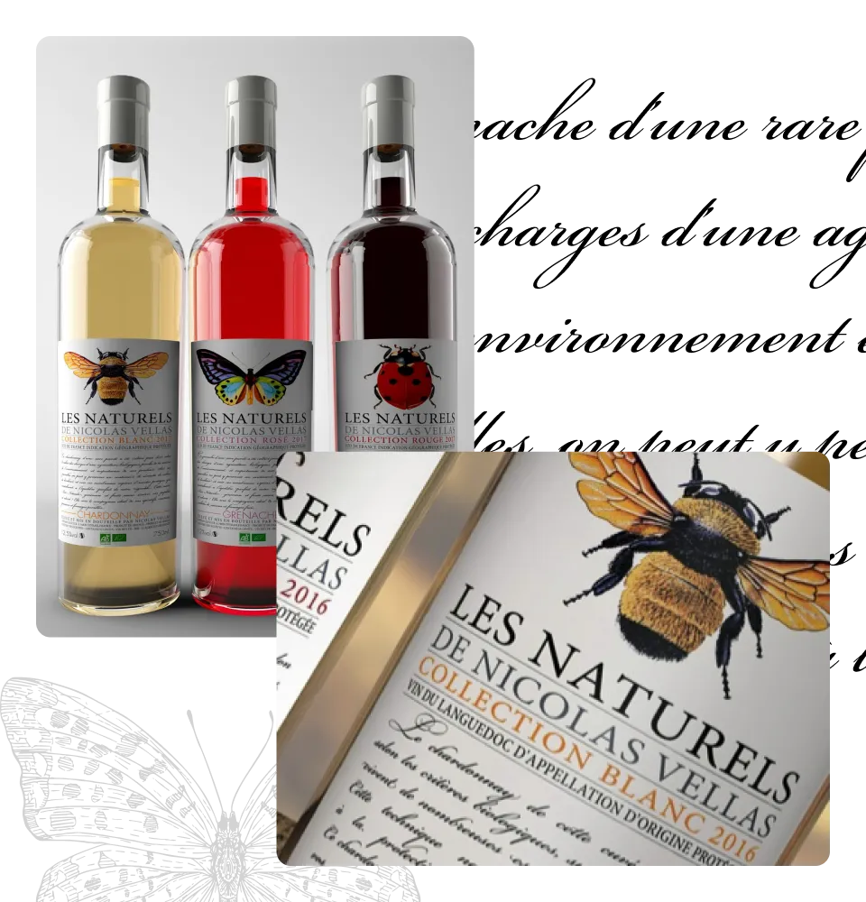 Фото 4 Les Naturels De Nicolas Vellas Chardonnay Bio IGP Pays D'Oc