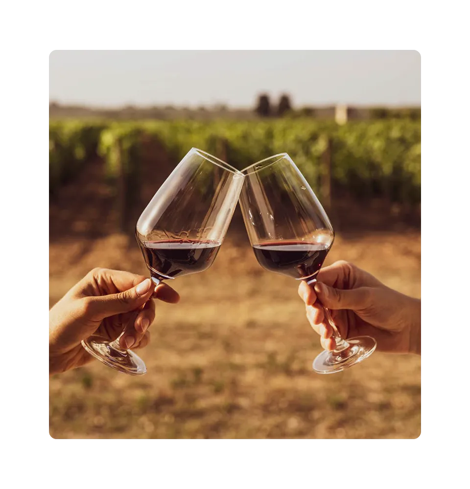 Фото 5 Les Naturels De Nicolas Vellas Syrah Rouge Bio IGP Pays D'Oc