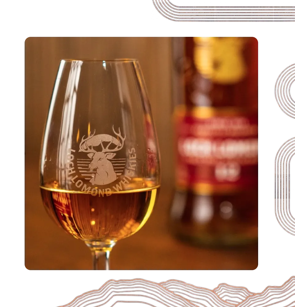 Фото 6 Loch Lomond 12 yo Single Malt