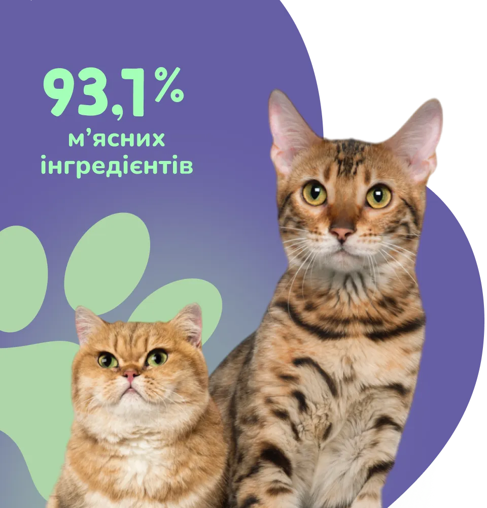 Фото 3 Корм для котів MAU PAW