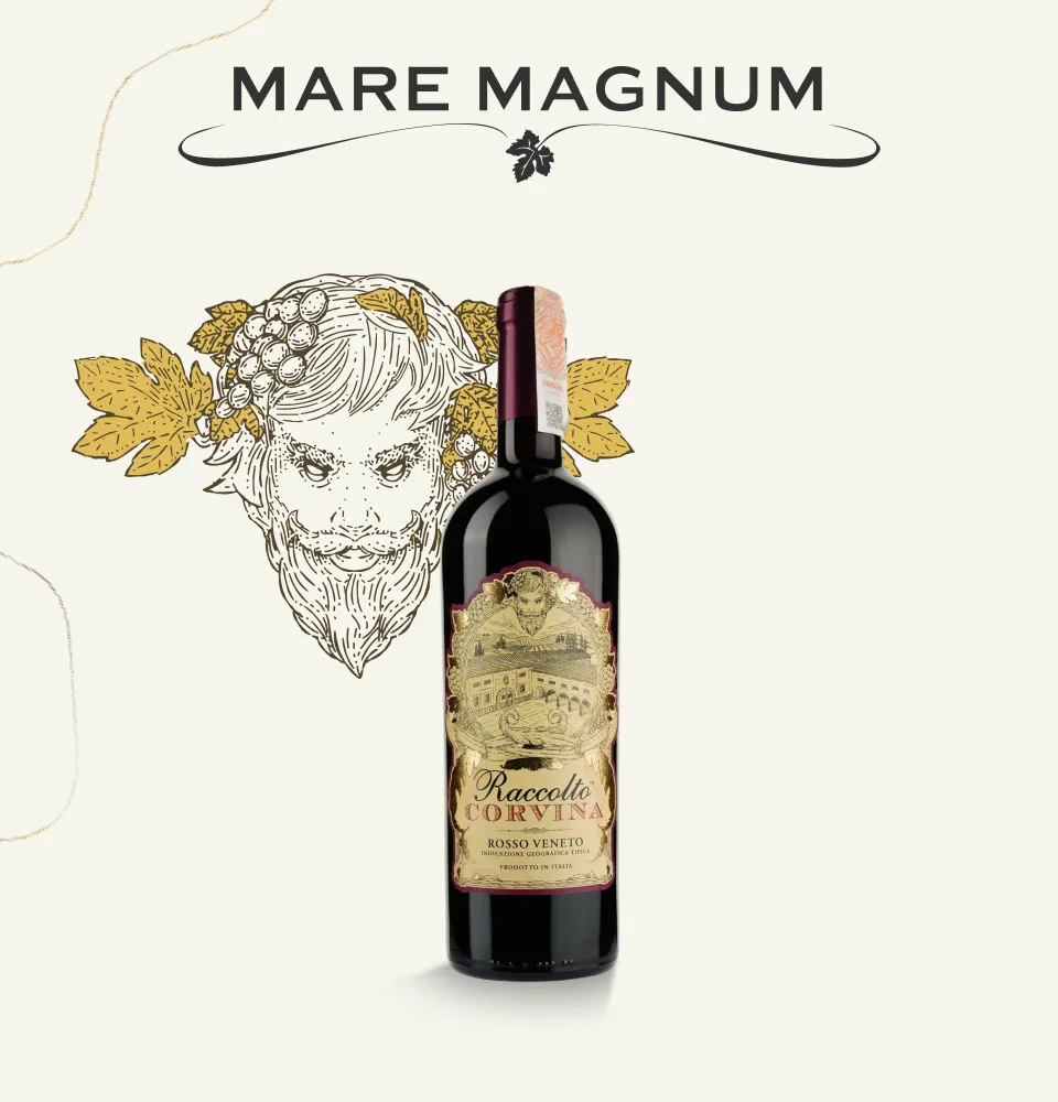 Фото 1 Mare Magnum Corvina Raccolto Rosso