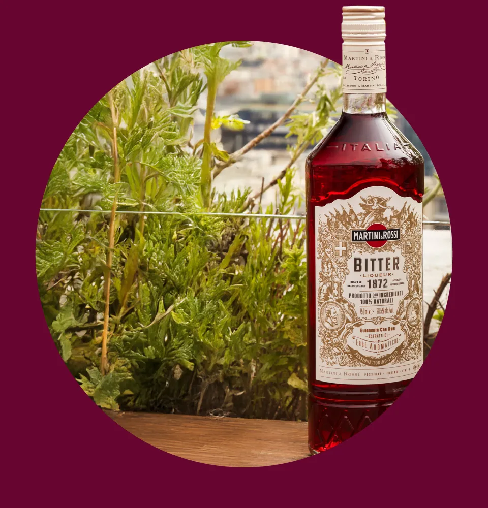 Фото 2 Martini Bitter Riserva