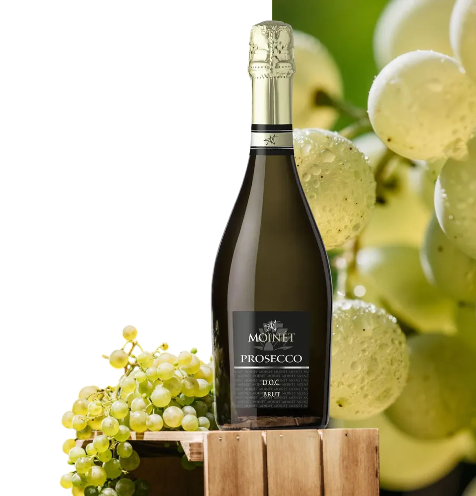 Фото 2 Moinet Prosecco Spumante DOC