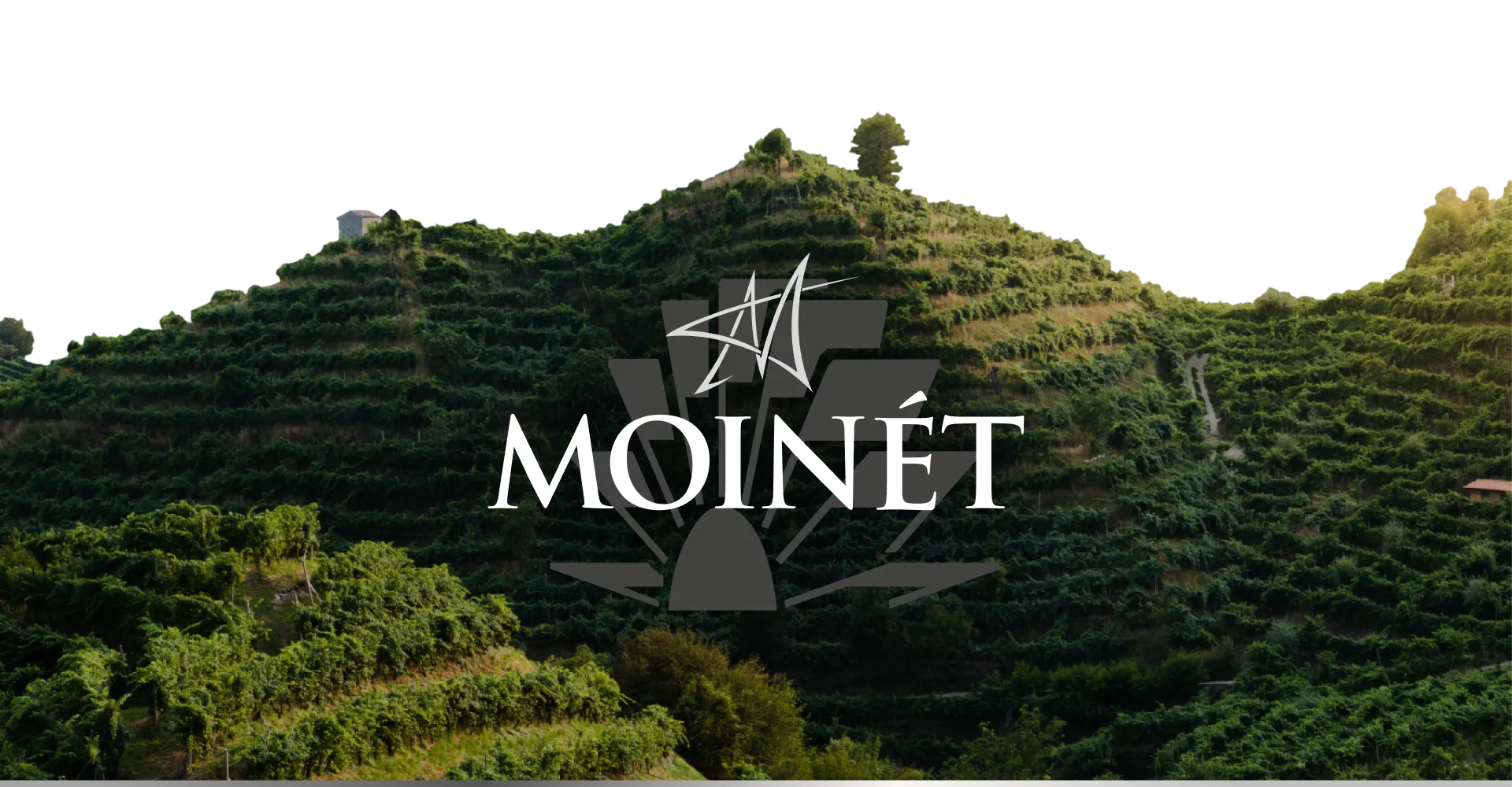 Фото 3 Moinet Prosecco Spumante DOC