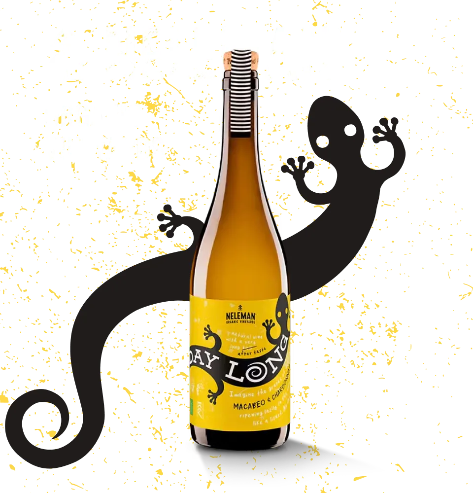 Фото 1 Neleman All Day Long Macabeo Chardonnay DO Valencia