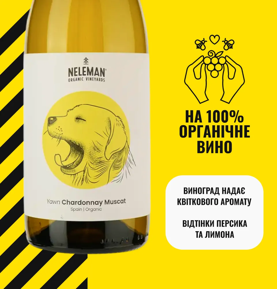 Фото 2 Neleman Yawn Chardonnay Muscat DO Valencia