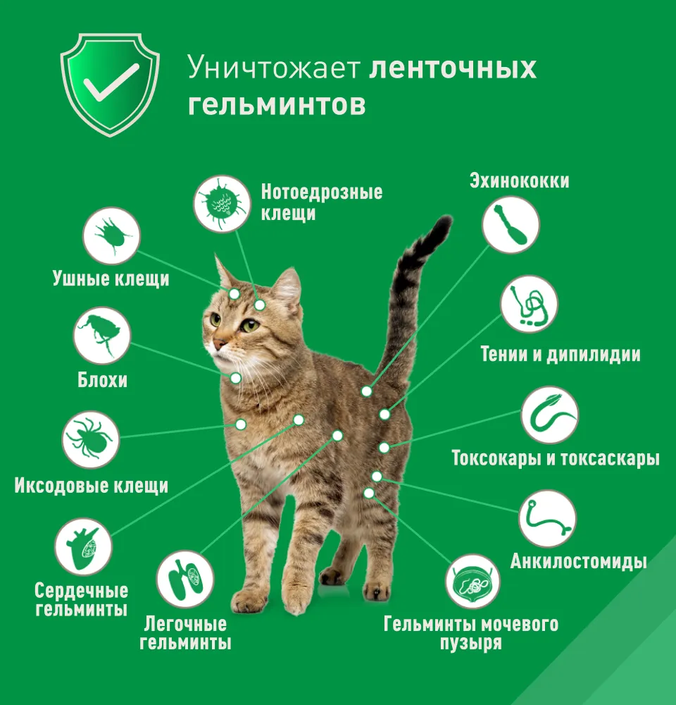 Фото 4 Нексгард Комбо