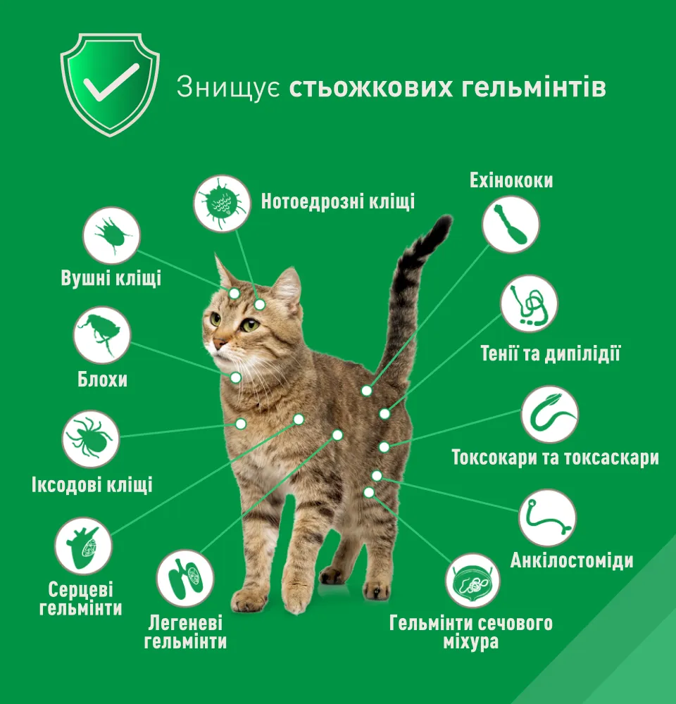 Фото 4 Нексгард Комбо