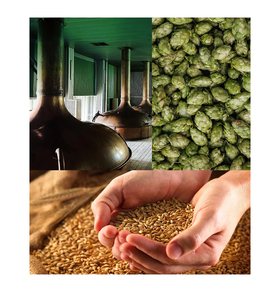 Фото 4 Оболонь Соборне