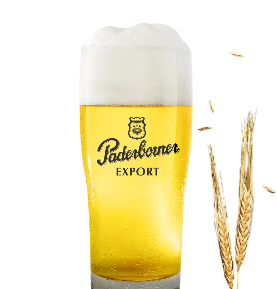 Фото 2 Paderborner Export
