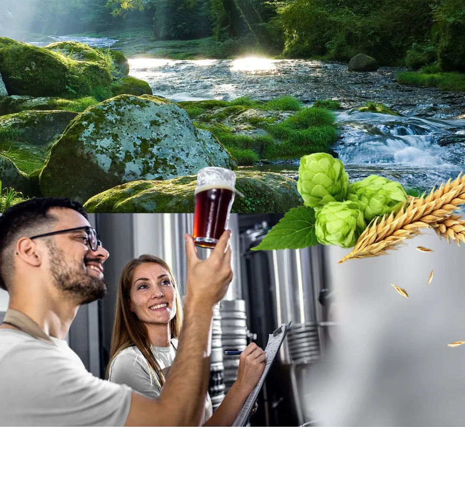 Фото 4 Paderborner Hell