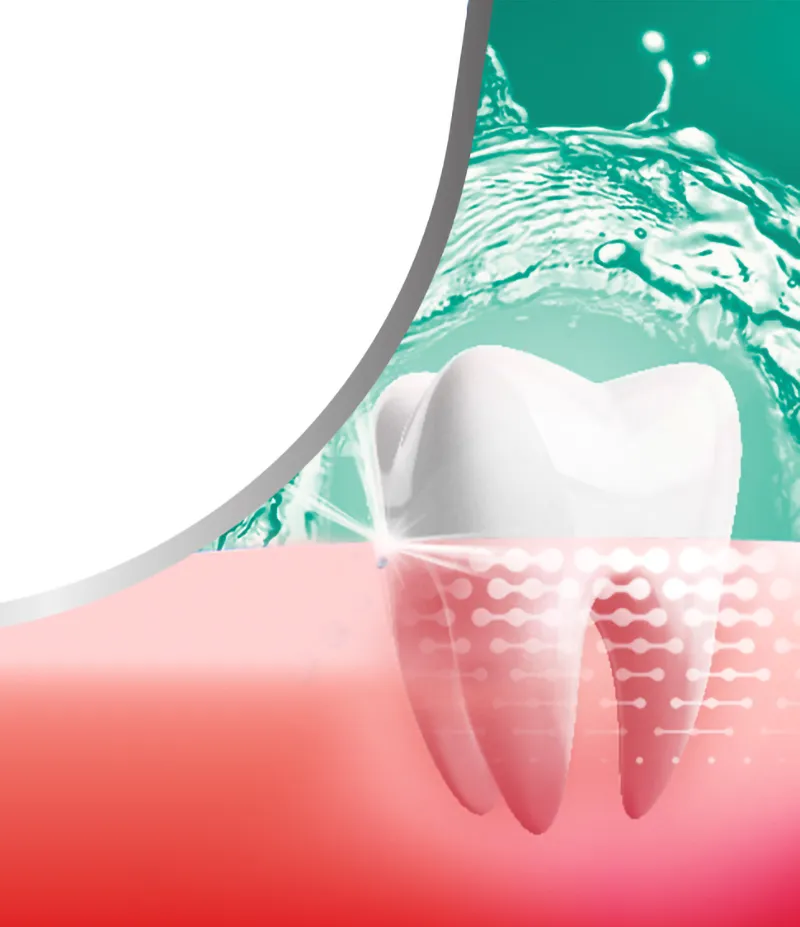 Фото 3 Parodontax Active Gum Health Fresh Mint